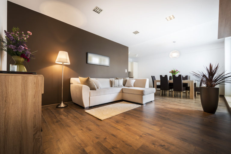 Modern Living Room Smooth Ceilings